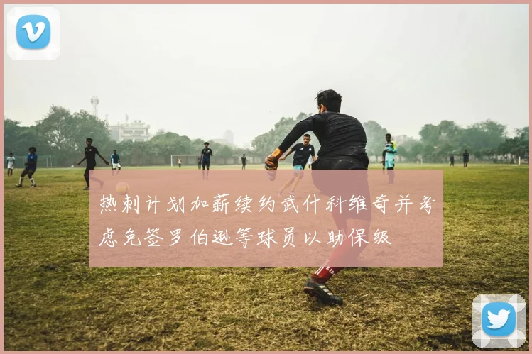 热刺计划加薪续约武什科维奇并考虑免签罗伯逊等球员以助保级